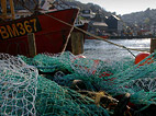 Sea food restaurant looe