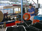 Sea food restaurant Looe